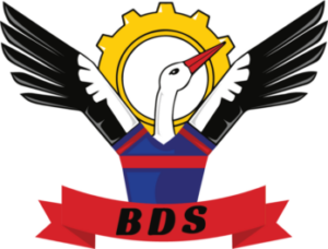 Page50_logo-BDS-SQY - Logos